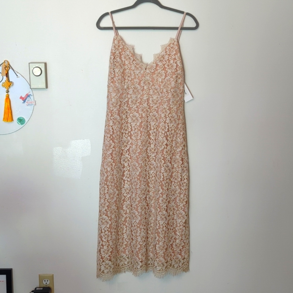 NWT Stunning Beige Lace Midi Dress Size Large
